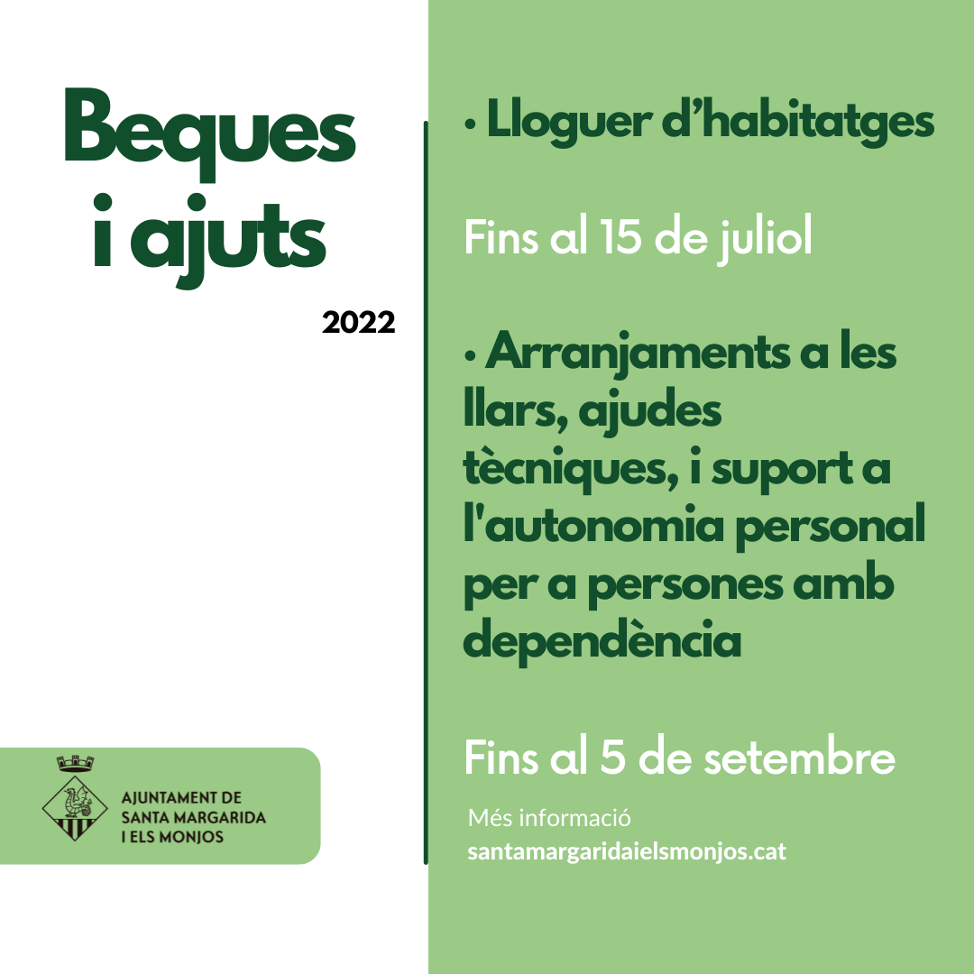 Subvencions Per Al Pagament Del Lloguer D’habitatges I Per Arranjaments ...